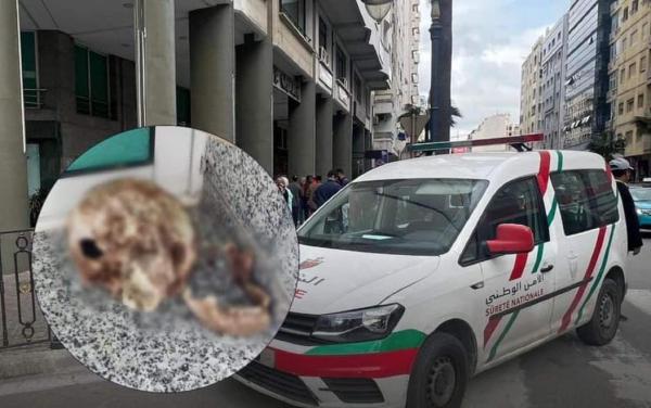 قبيل أذان المغرب..جمجمة بشرية مجهولة تستنفر المصالح الأمنية بطنجة   (صور)